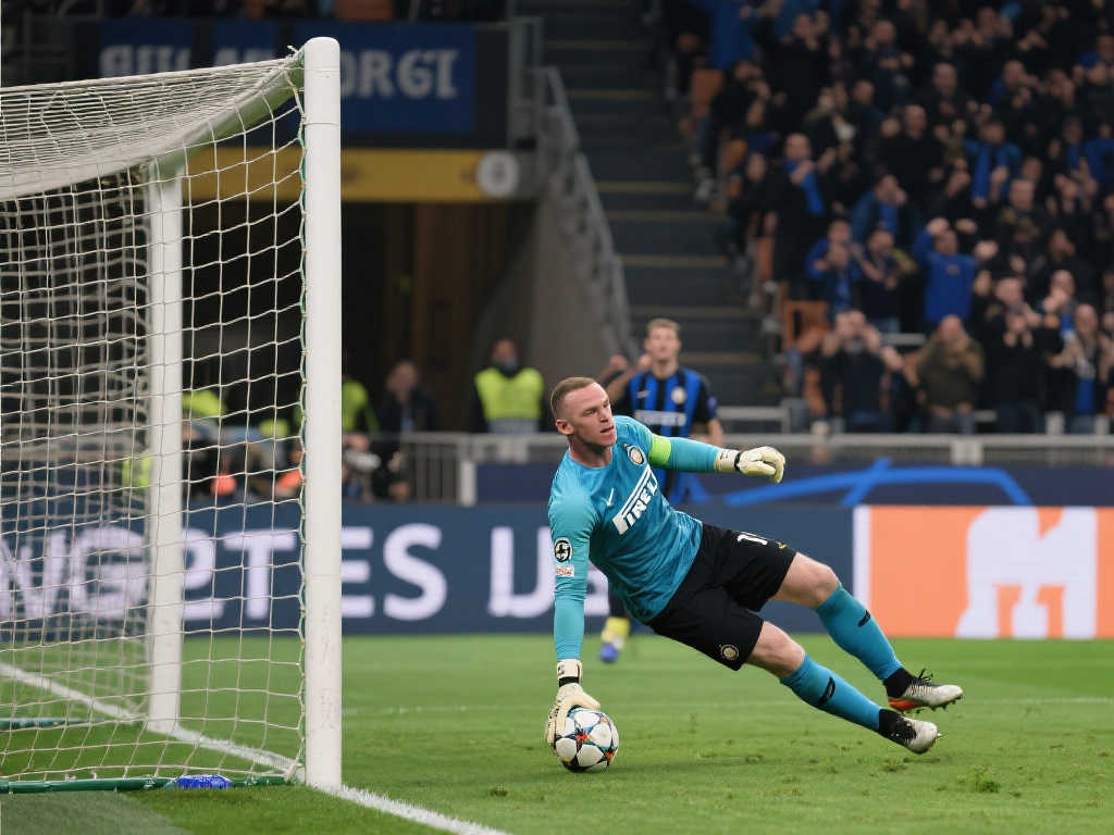 证明了美国 证明了美国