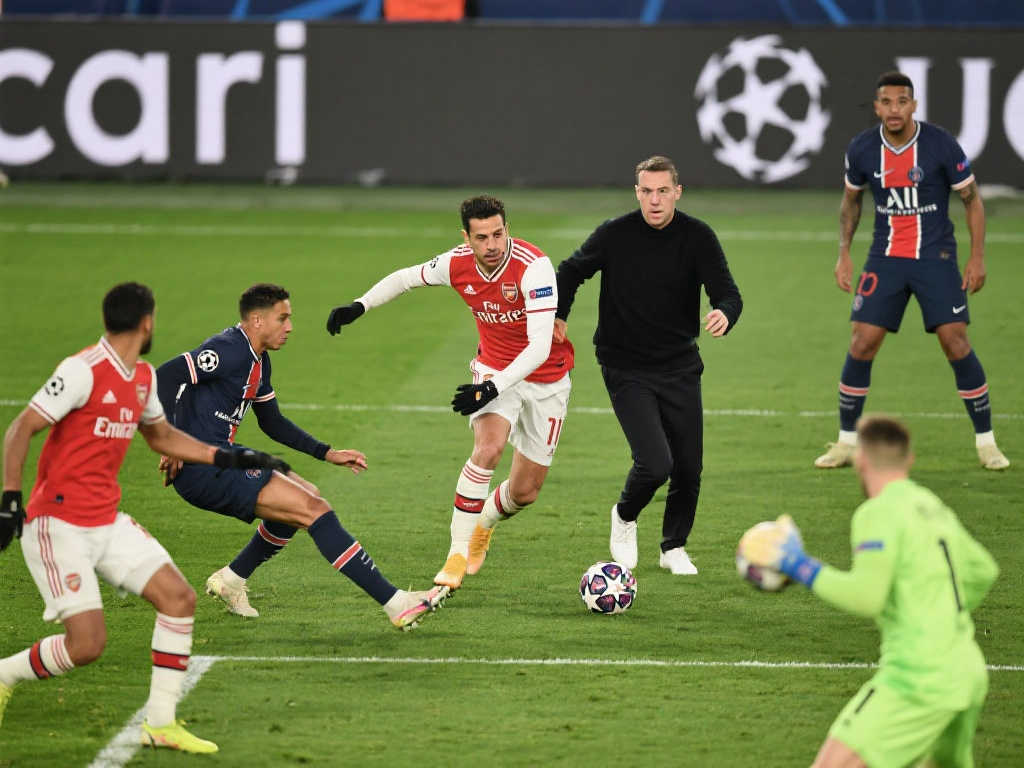 极大的身体 极大的身体